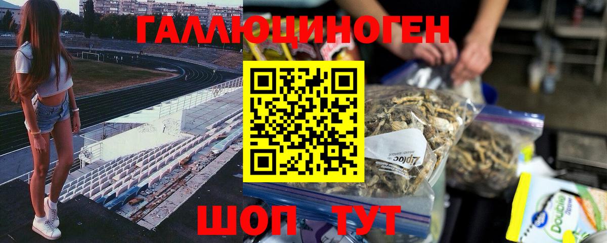 наркошоп  Вход с VPN  Скопин  Псилоцибиновые грибы Magic Shrooms 