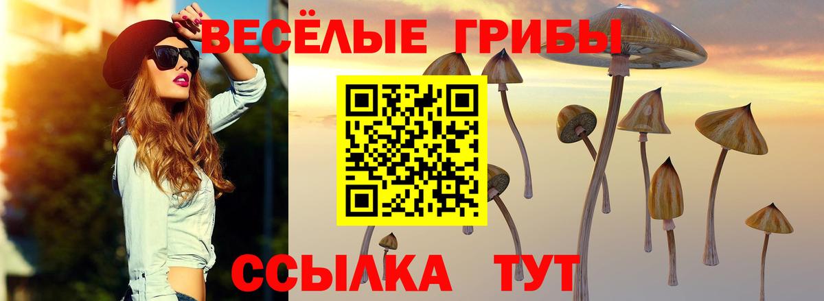 Псилоцибиновые грибы Psilocybine cubensis Скопин